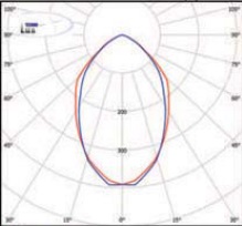  ������ ���� �����